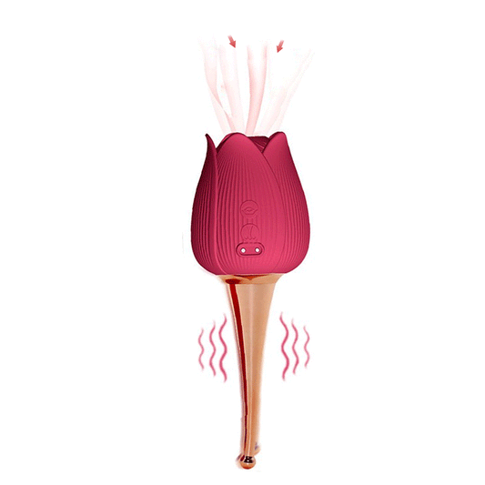 Usb Rechargeable Rose Toys For Women