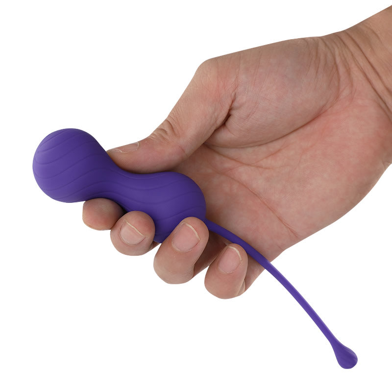 Acmejoy Twin Ball Postpartum Recovery 3-Piece Set 0.09 lbs/0.18 lbs/0.22 lbs Vaginal Training Kegel Balls