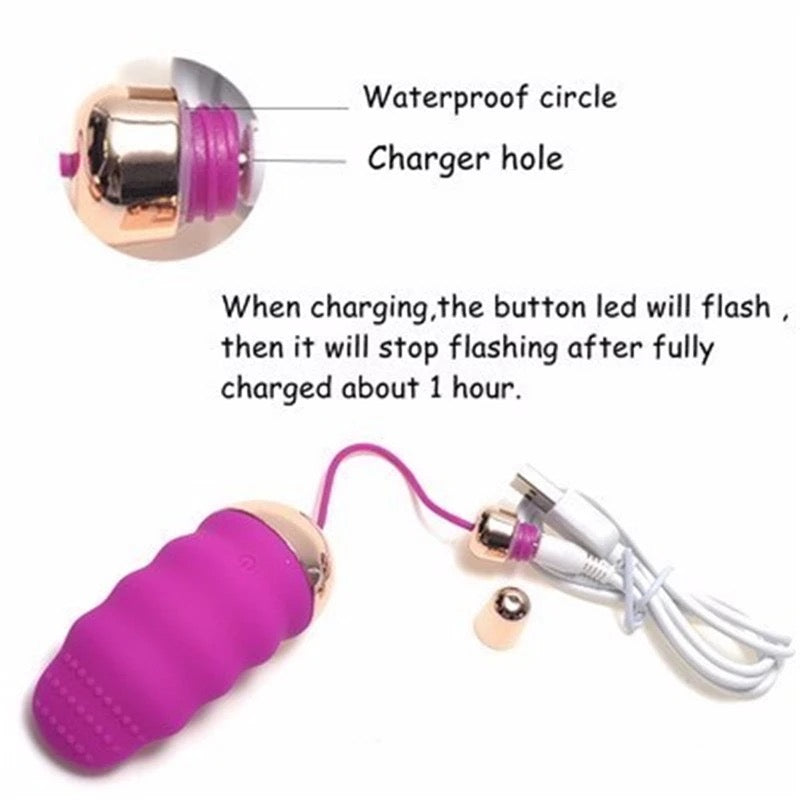 Waterproof Love Eggs Adult Toys Vibrators Wireless Remote Control