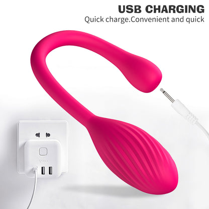 Remote Control Vibrating Egg Built-in Keel Panties Vibrator