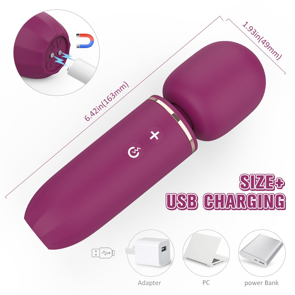 Enrichment Peak Wand Massager 4 Speeds Clit Vibrators